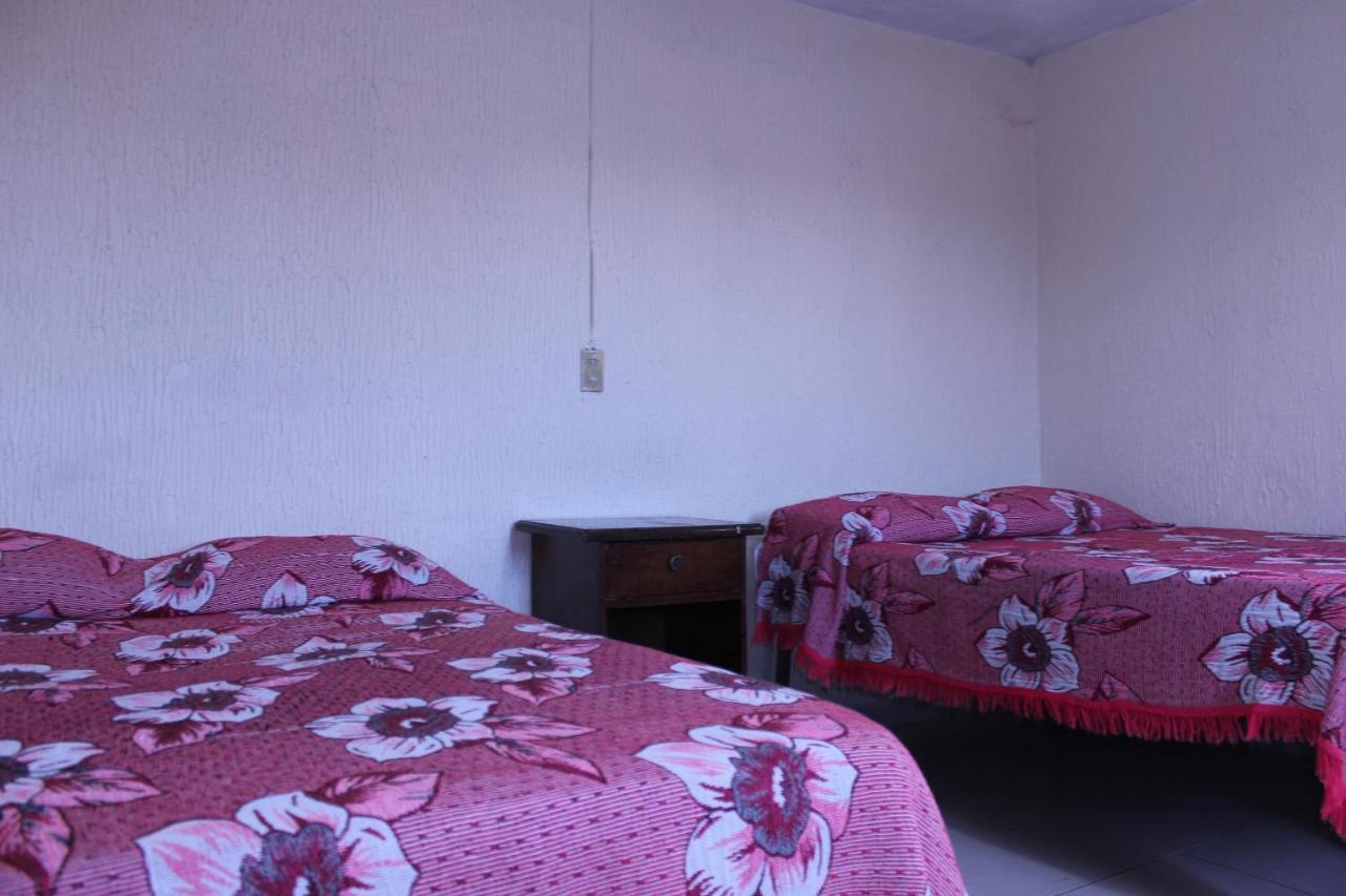 Hotel Plaza Aleman León Eksteriør billede