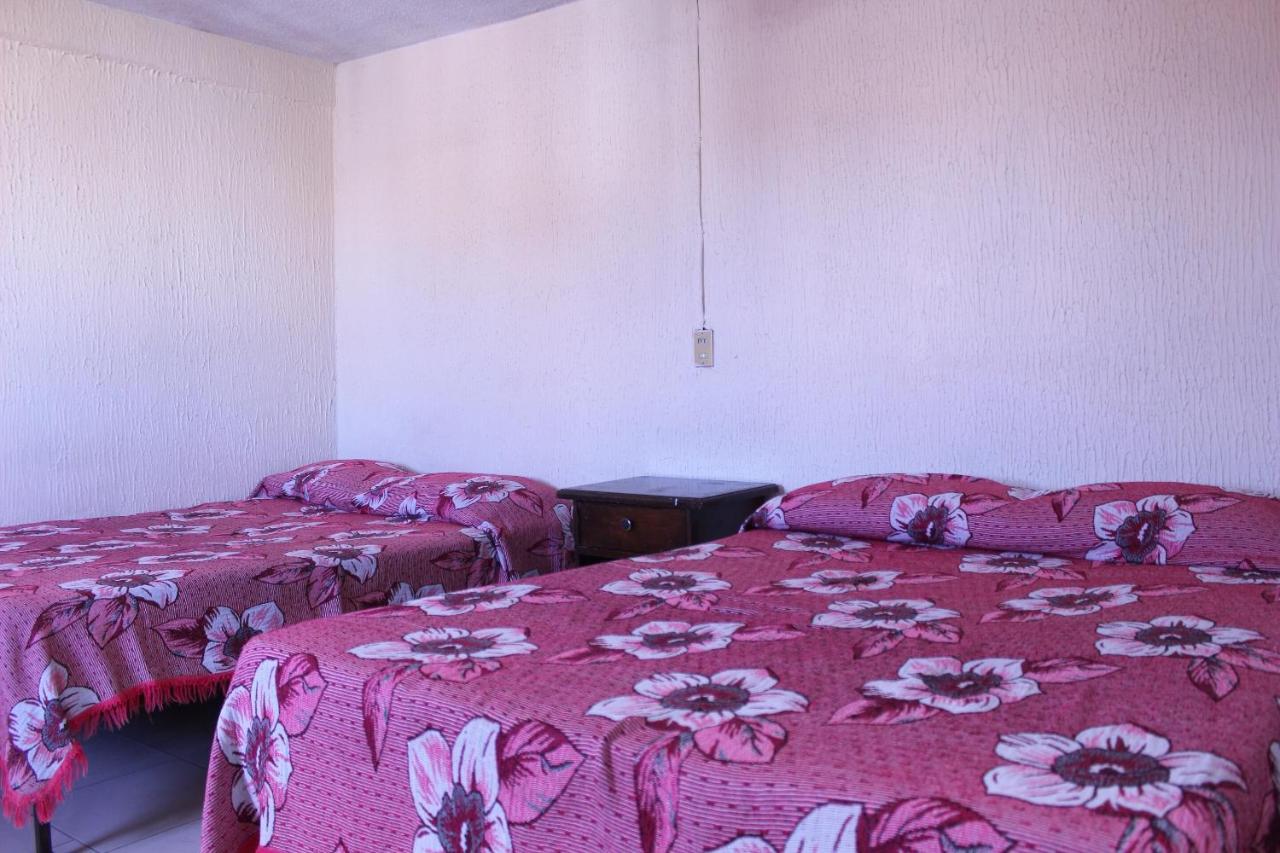 Hotel Plaza Aleman León Eksteriør billede